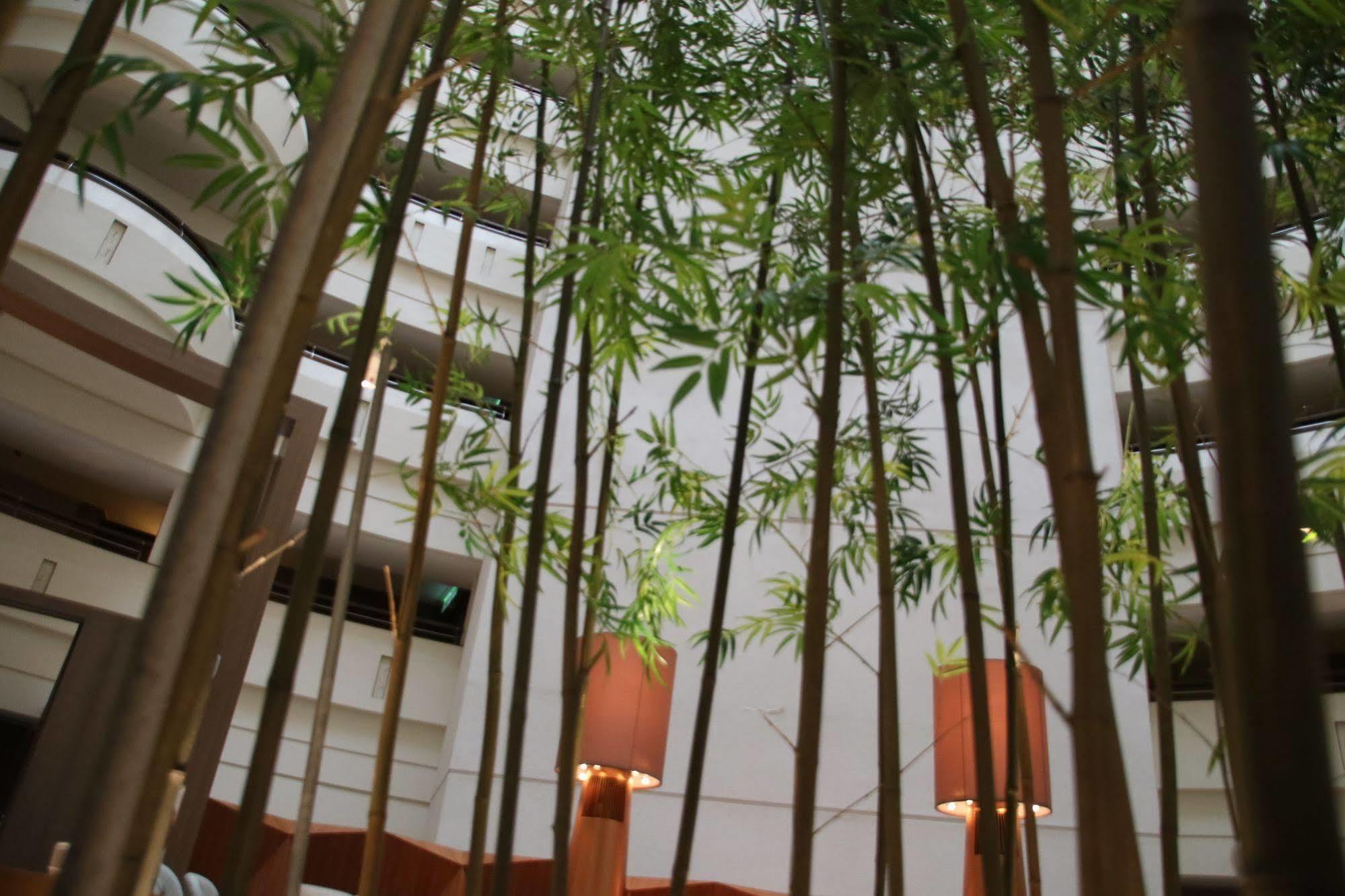 Shangri-La Far Eastern 타이난 외부 사진 Bamboo trees in the lobby
